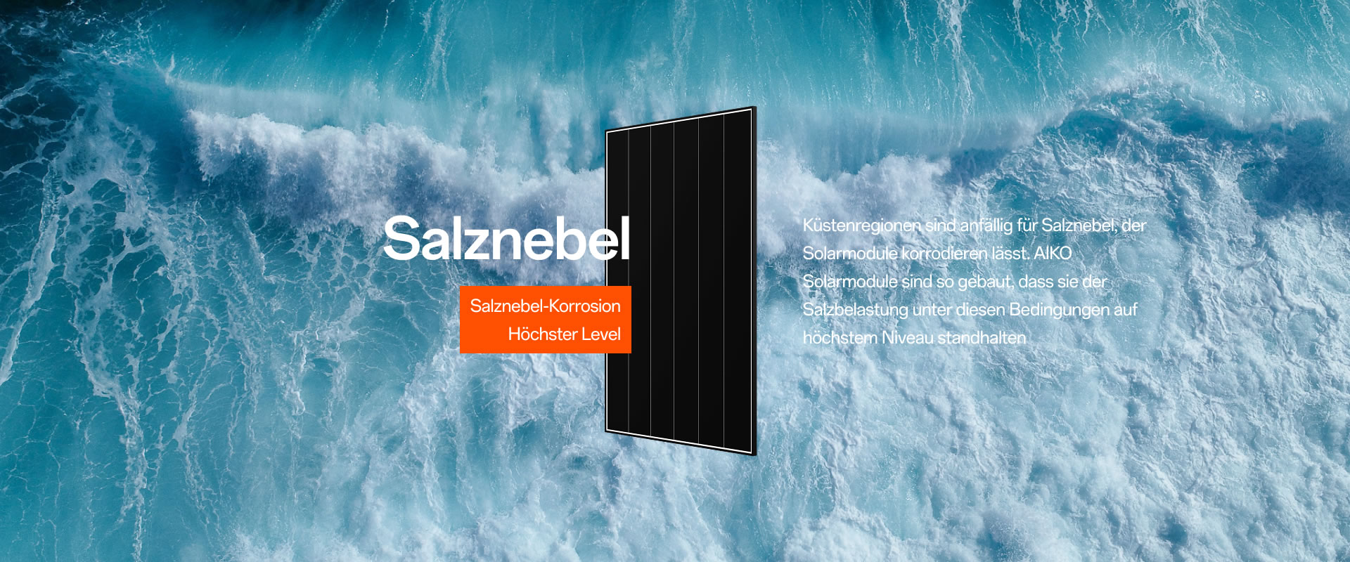 Salznebel